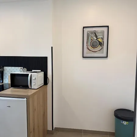 Apartamento Magnifique 2 Pieces En Plein Centre Avec Parking *